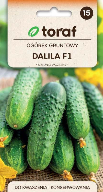 Toraf Ogórek gruntowy Dalila F1 nasiona 2 sklep rajogrodnika